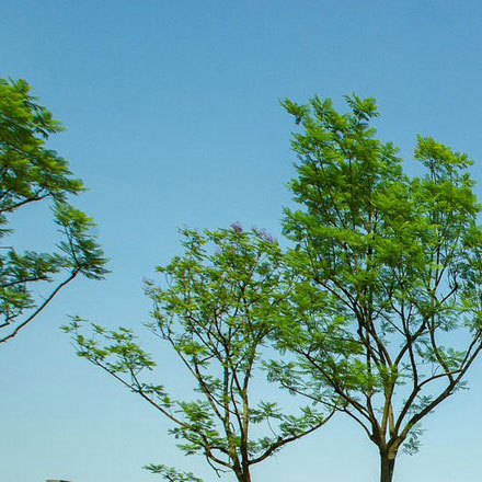 國家電網(wǎng)公司的vi標(biāo)志設(shè)計(jì)